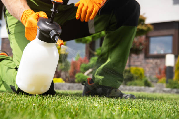 Best Best Pest Control Companies  in St Bonaventure, NY