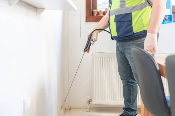 Reliable St Bonaventure, NY Pest Control Solutions