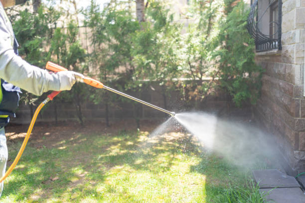 Best Residential Pest Control  in St Bonaventure, NY