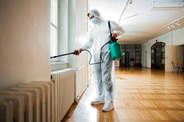 Best Local Pest Control Services  in St Bonaventure, NY
