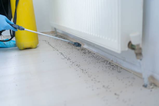 Best Best Pest Control Near Me  in St Bonaventure, NY