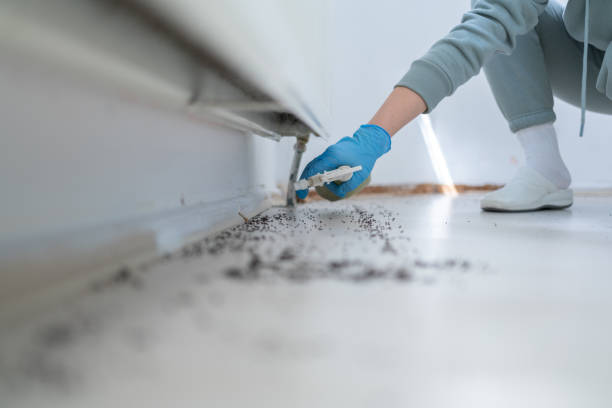Best Best Pest Control Companies  in St Bonaventure, NY